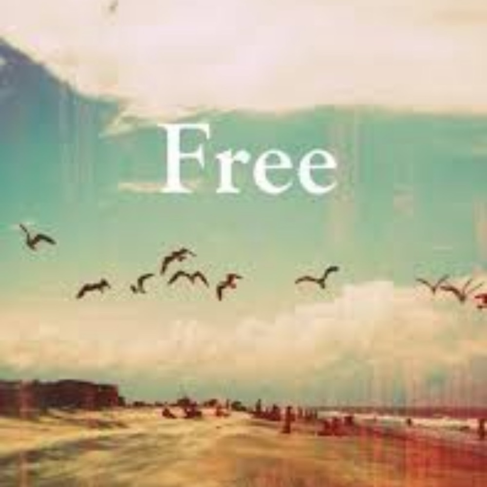 ✨FREE STUFF✨